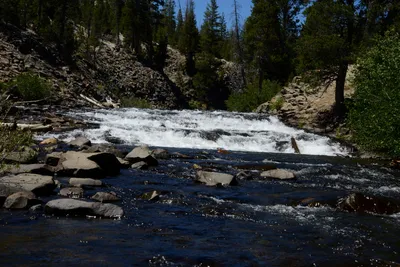 DSC_9919 (Large).JPG